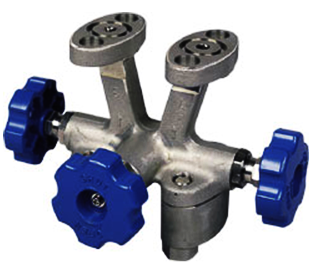 FFN3GV03-Y3 | Fuji Electric | Equalizing Valve, Oval Flange